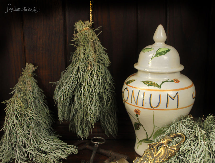 artemisia biologica per pratica magica, erbe per strega