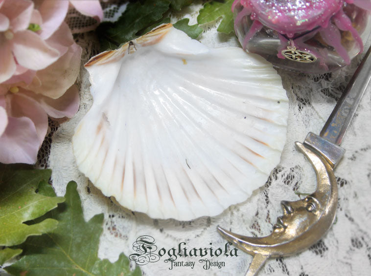 Piattino Elementale Conchiglia