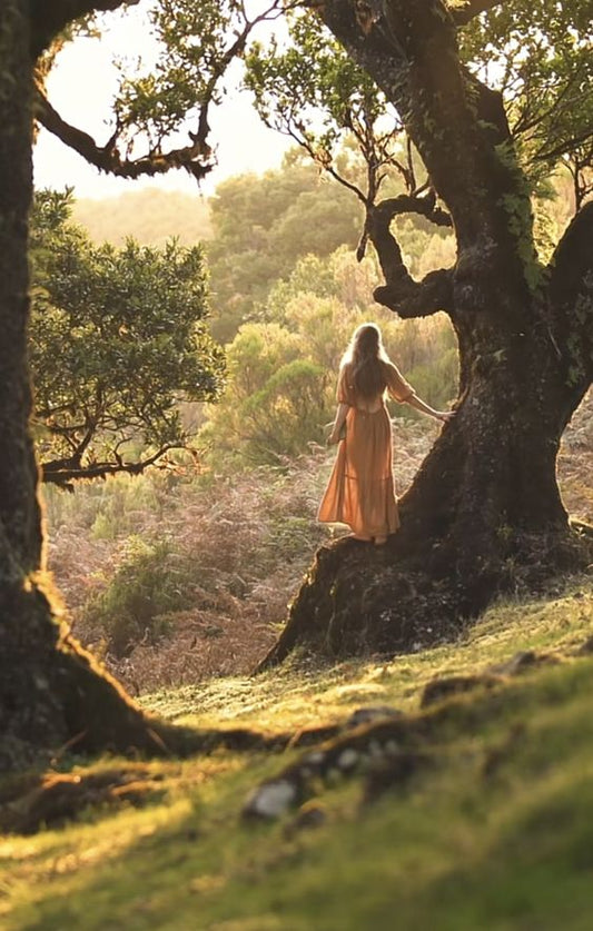 Progetto forestazione Fogliaviola - alberi piantati in Kenya, Guatemala e Italia per sostenibilità ambientale