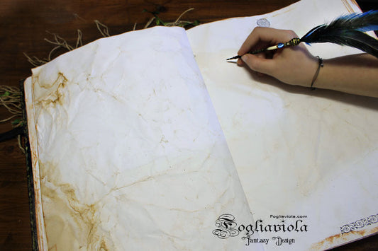 Come riempire un diario