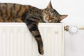 Come verniciare un termosifone