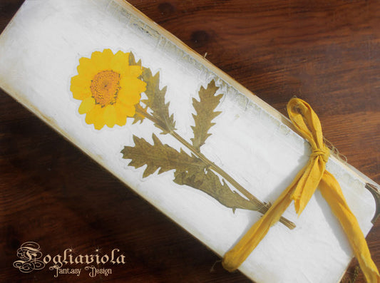 diario girasole