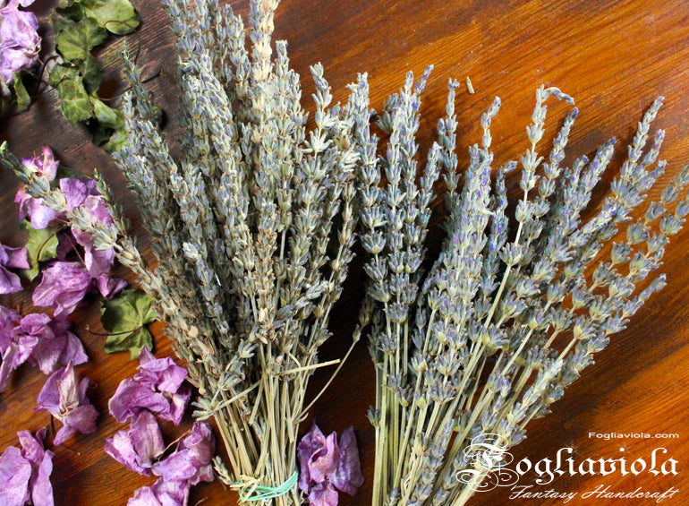 Mazzo di lavanda biologica coltivata a Roma, ingrediente principale dei sacchetti rituali artigianali Fogliaviola