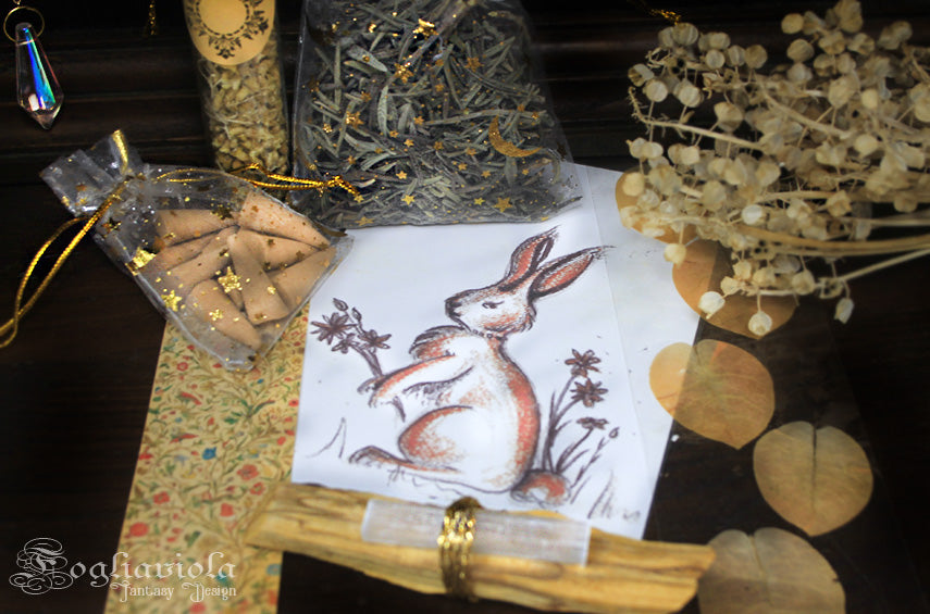 Litha Summer Box con card illustrata coniglio botanico Fogliaviola, coni incenso in sacchetto decorato, erbe biologiche e palo santo con cristallo