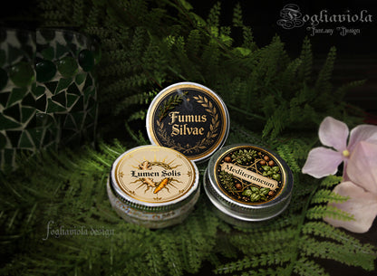 strega in cucina, erbe per cucinare biologiche