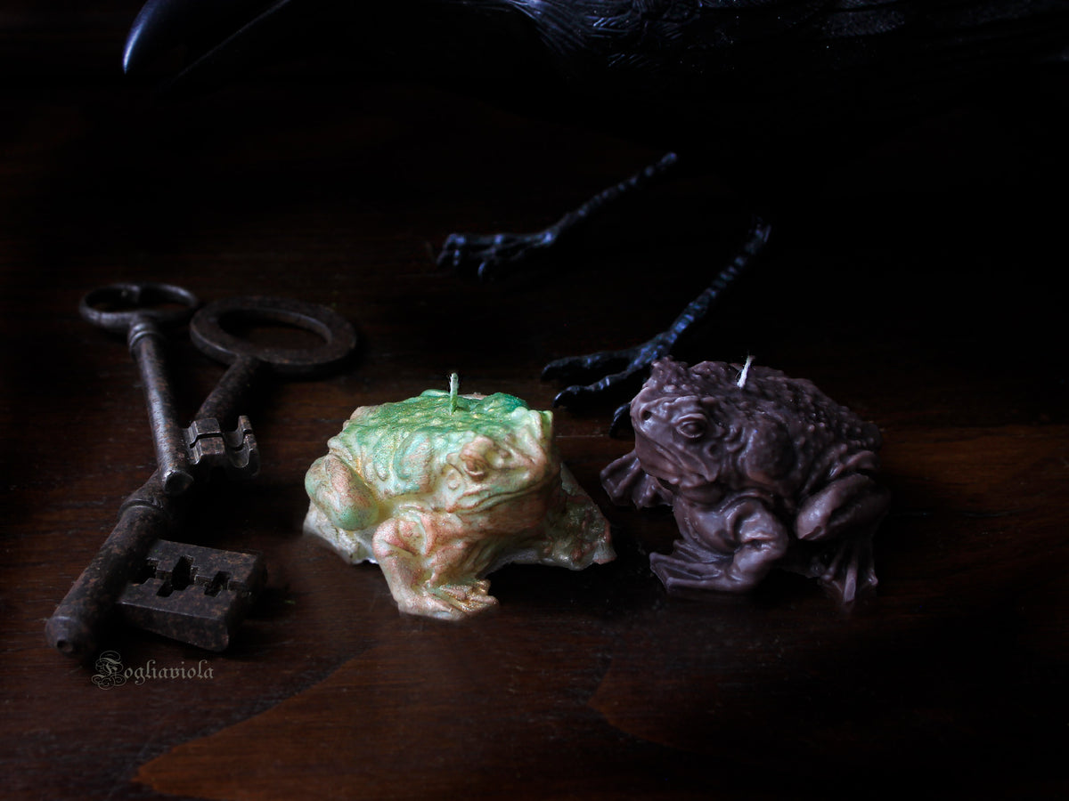 candela famiglio di strega con rospo e rana verde e terra, nera per ritualistica - Fogliaviola