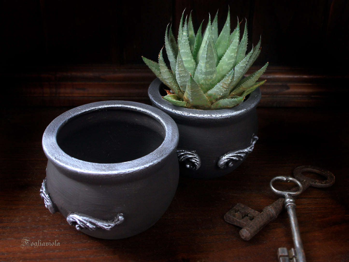 Piccolo vaso gotico Fogliaviola in ceramica nera con fregi argento, a forma di calderone, con pianta grassa