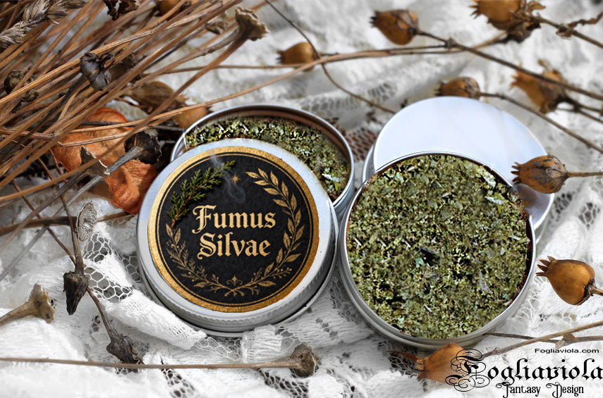 erbe magiche per cucinare