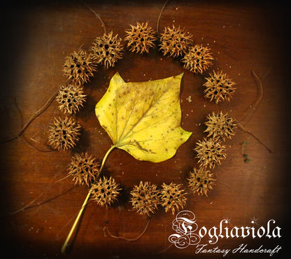 Witch Burrs (Palle della Strega)